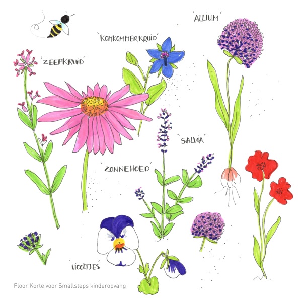 20 insectvriendelijke bloemen en planten | Partou